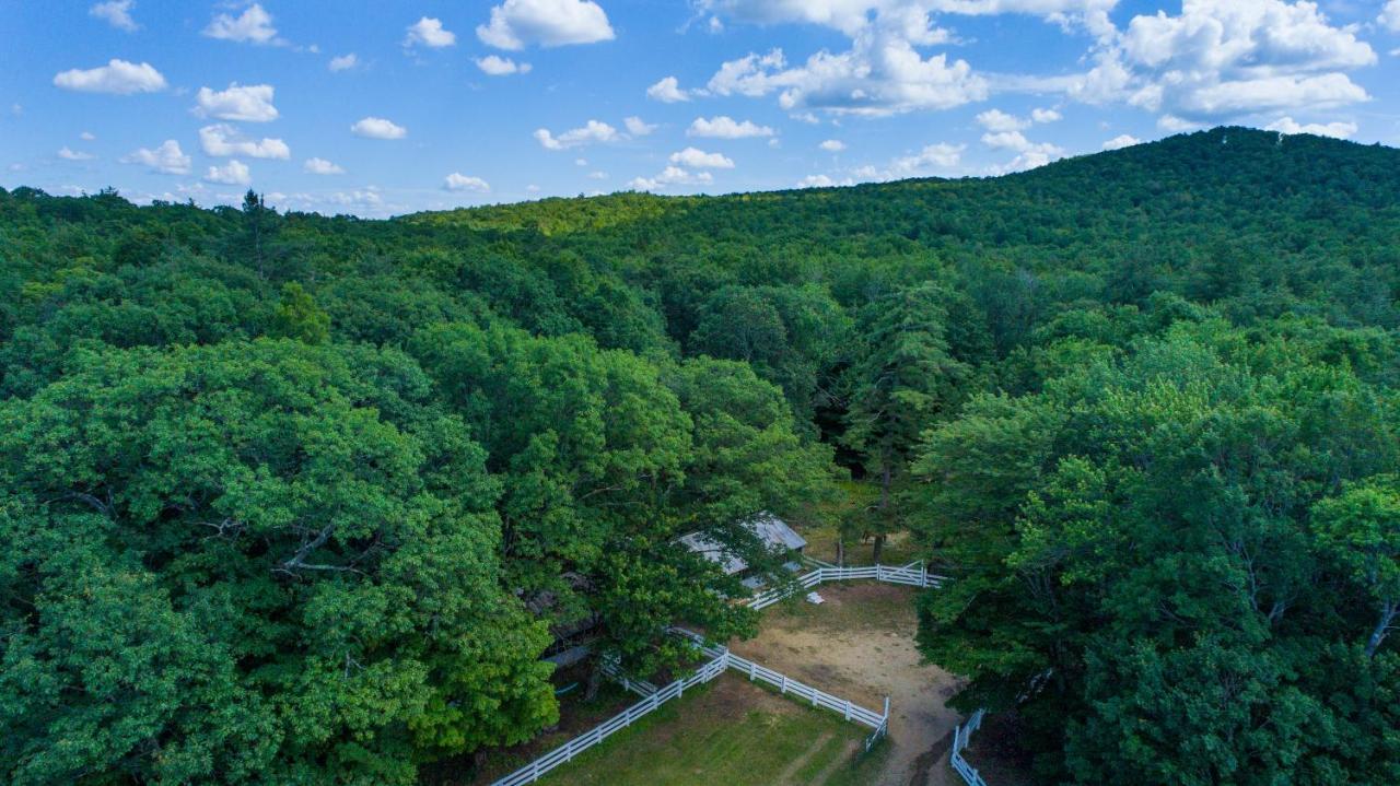 לייק ג'ורג' Roaring Brook Ranch Resort מראה חיצוני תמונה